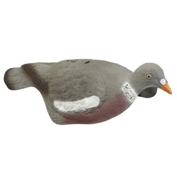 Pigeon ramier demi coque