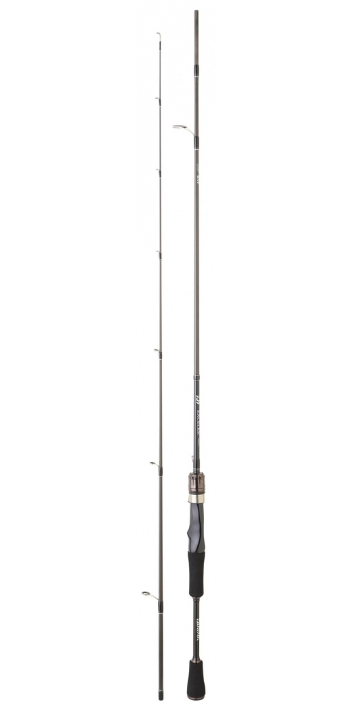 Daiwa Exceler 602 ML