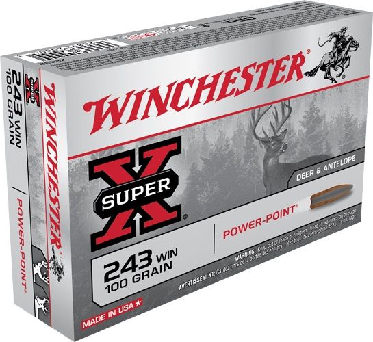 Winchester 243 power point 100gr