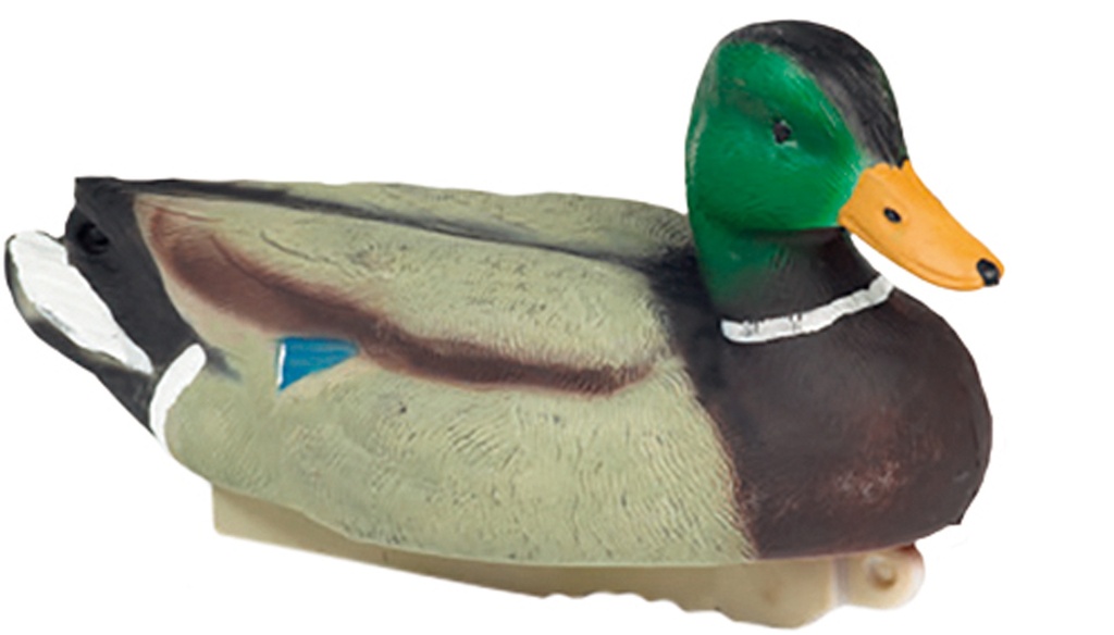 Stepland Colvert male HD