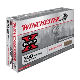 [M0745316] Winchester 300WM power point