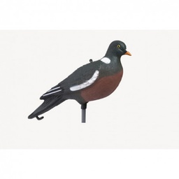 Stepland Pigeon ramier HD